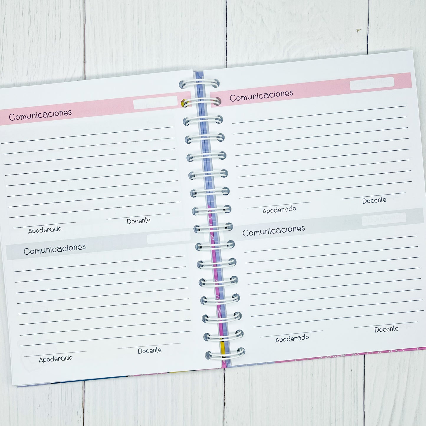 Agenda escolar enseñanza básica