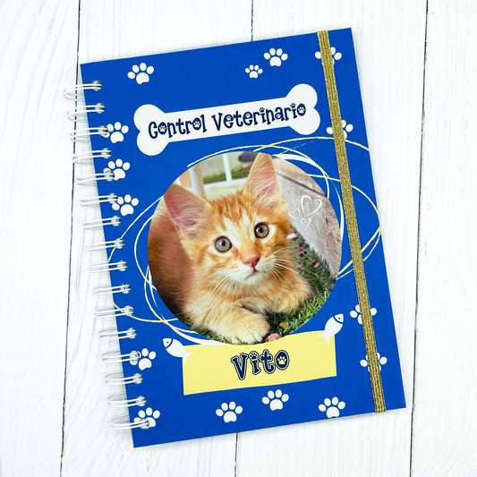 Control veterinario gato
