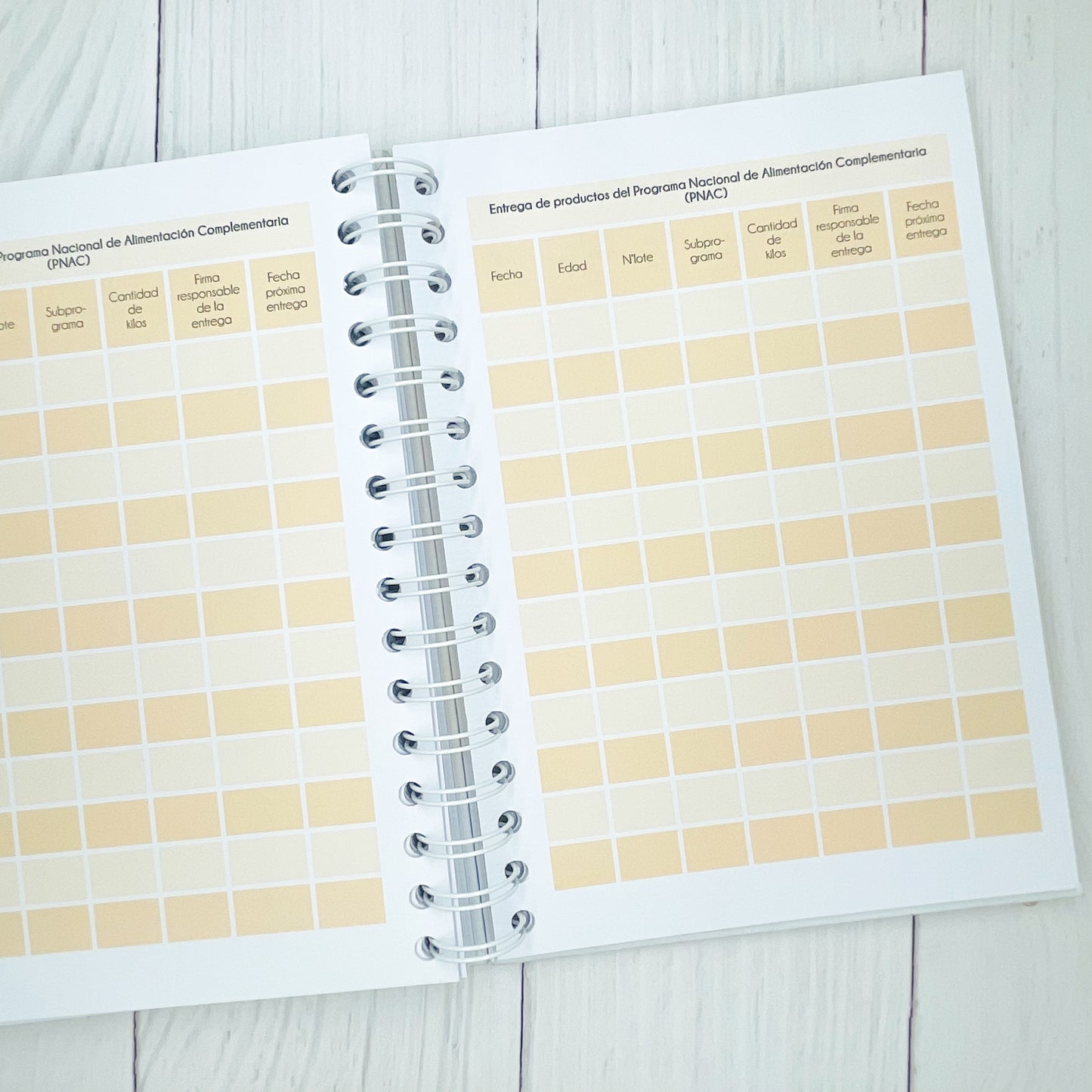 Cuaderno de control pediátrico