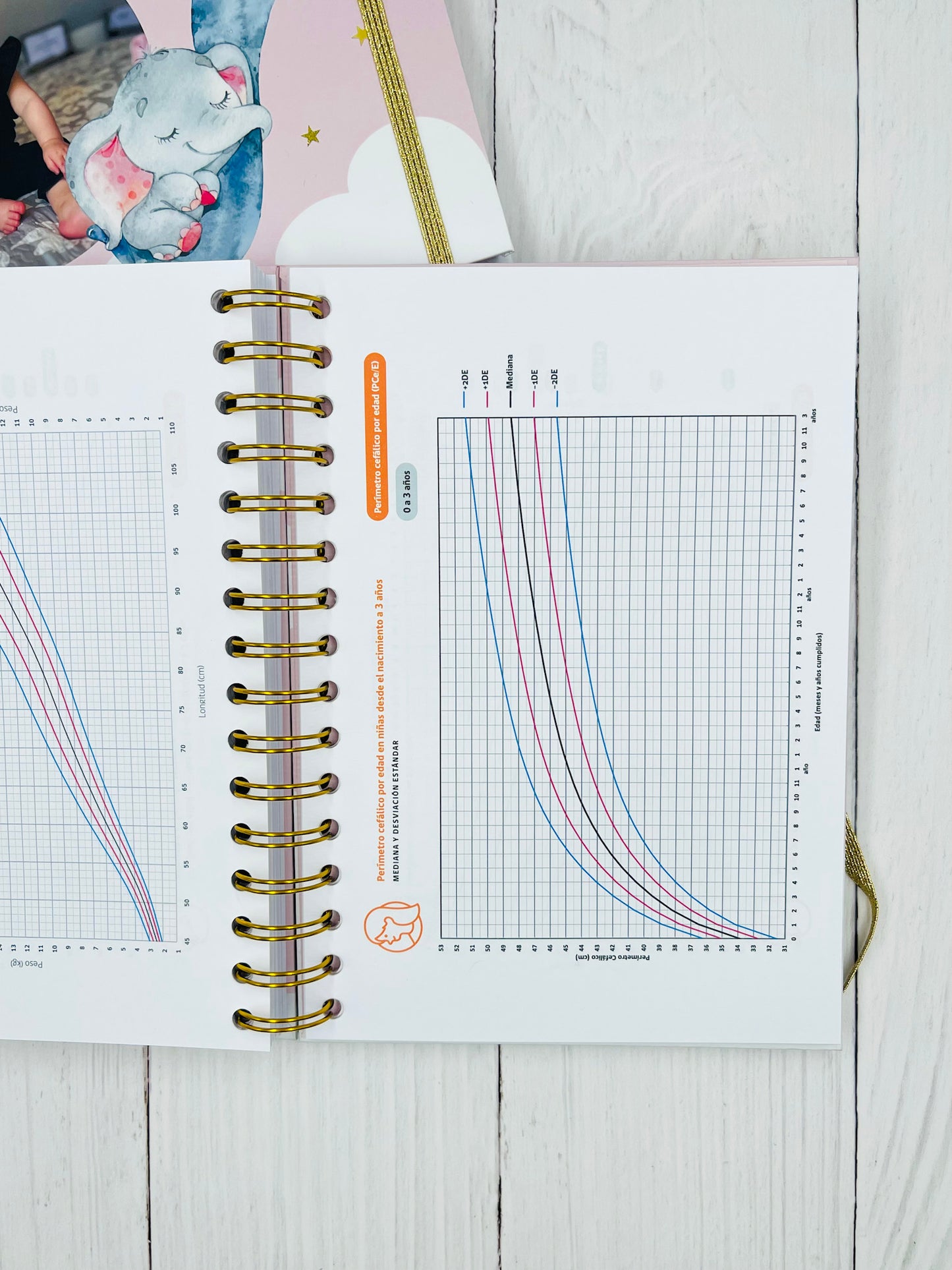 Cuaderno de control pediátrico