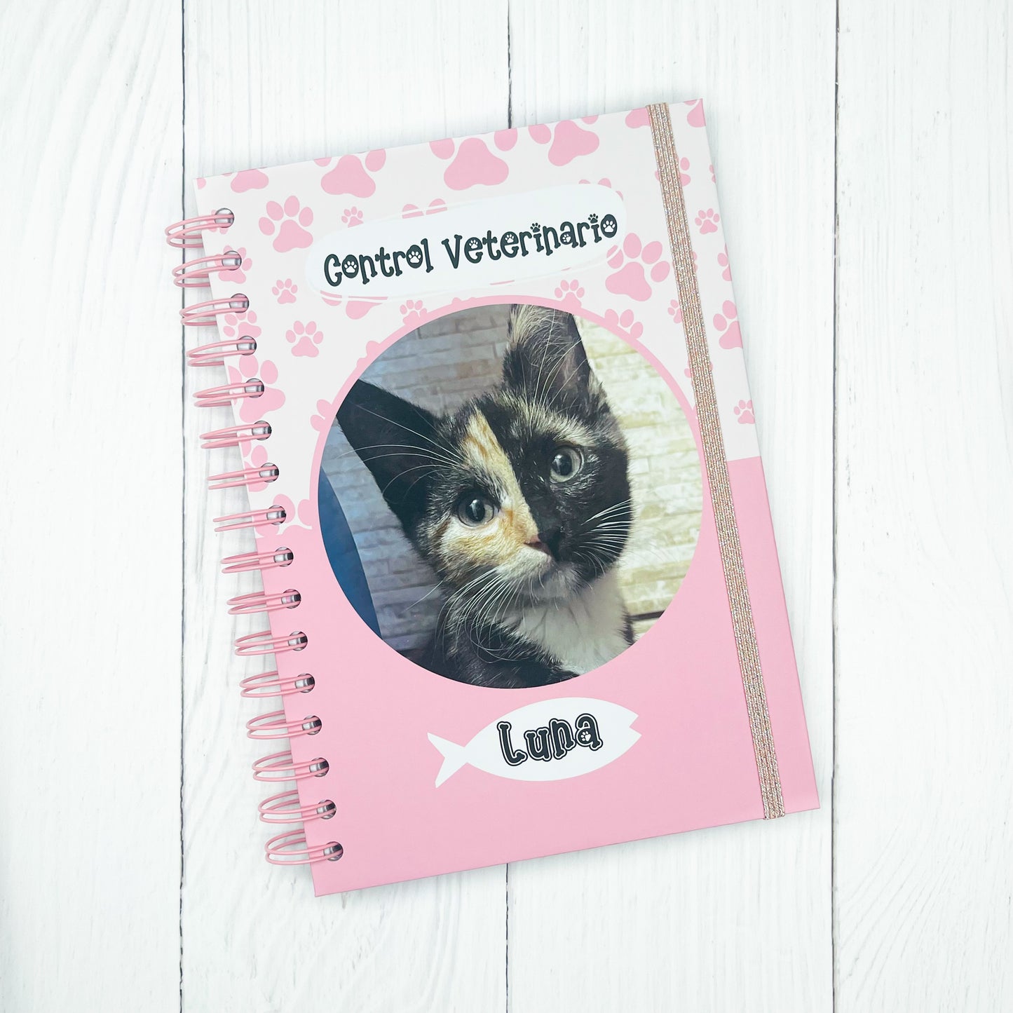 Control veterinario gato