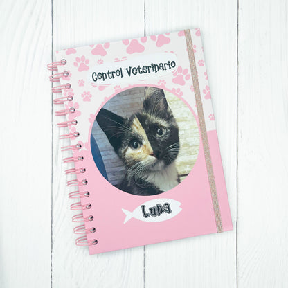 Control veterinario gato