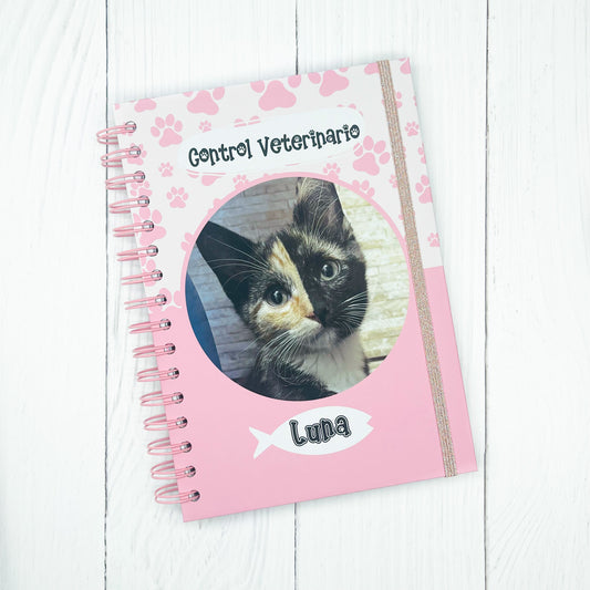 Control veterinario gato