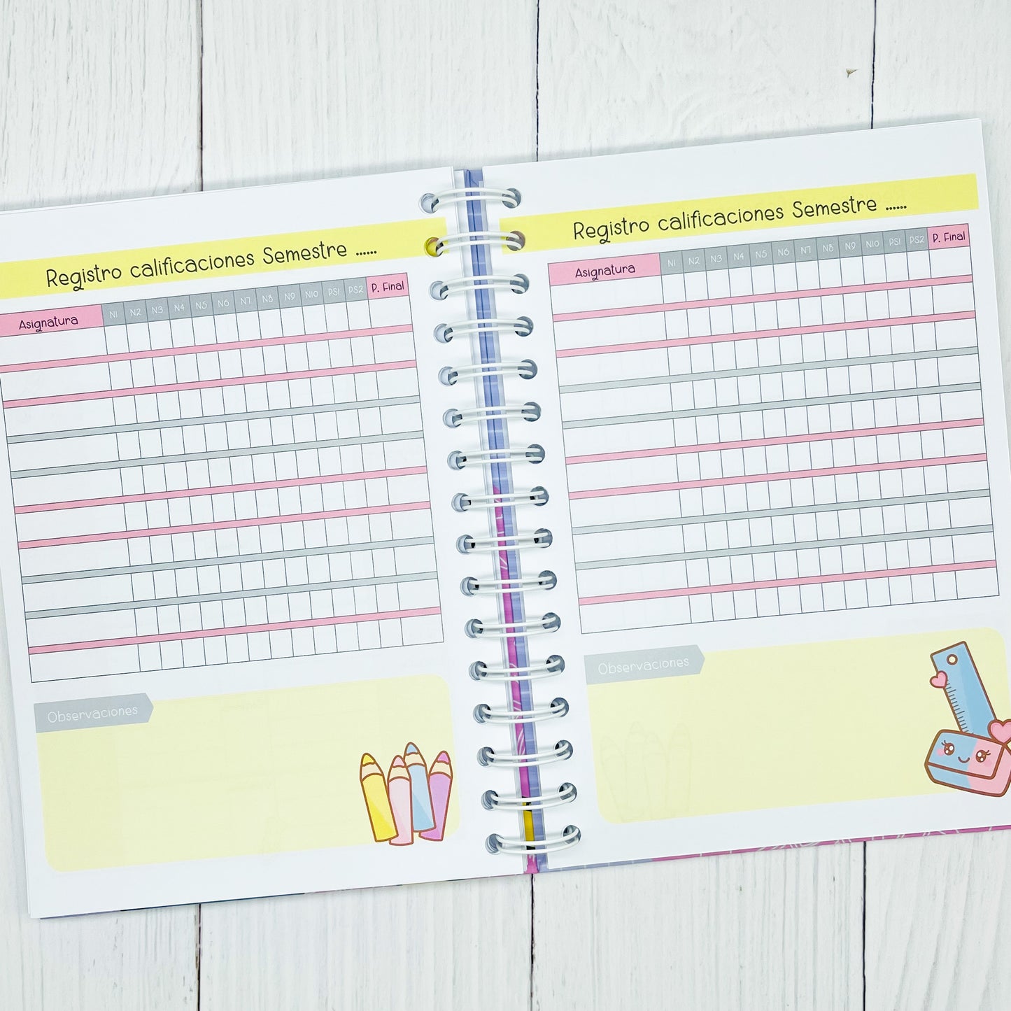 Agenda escolar enseñanza básica