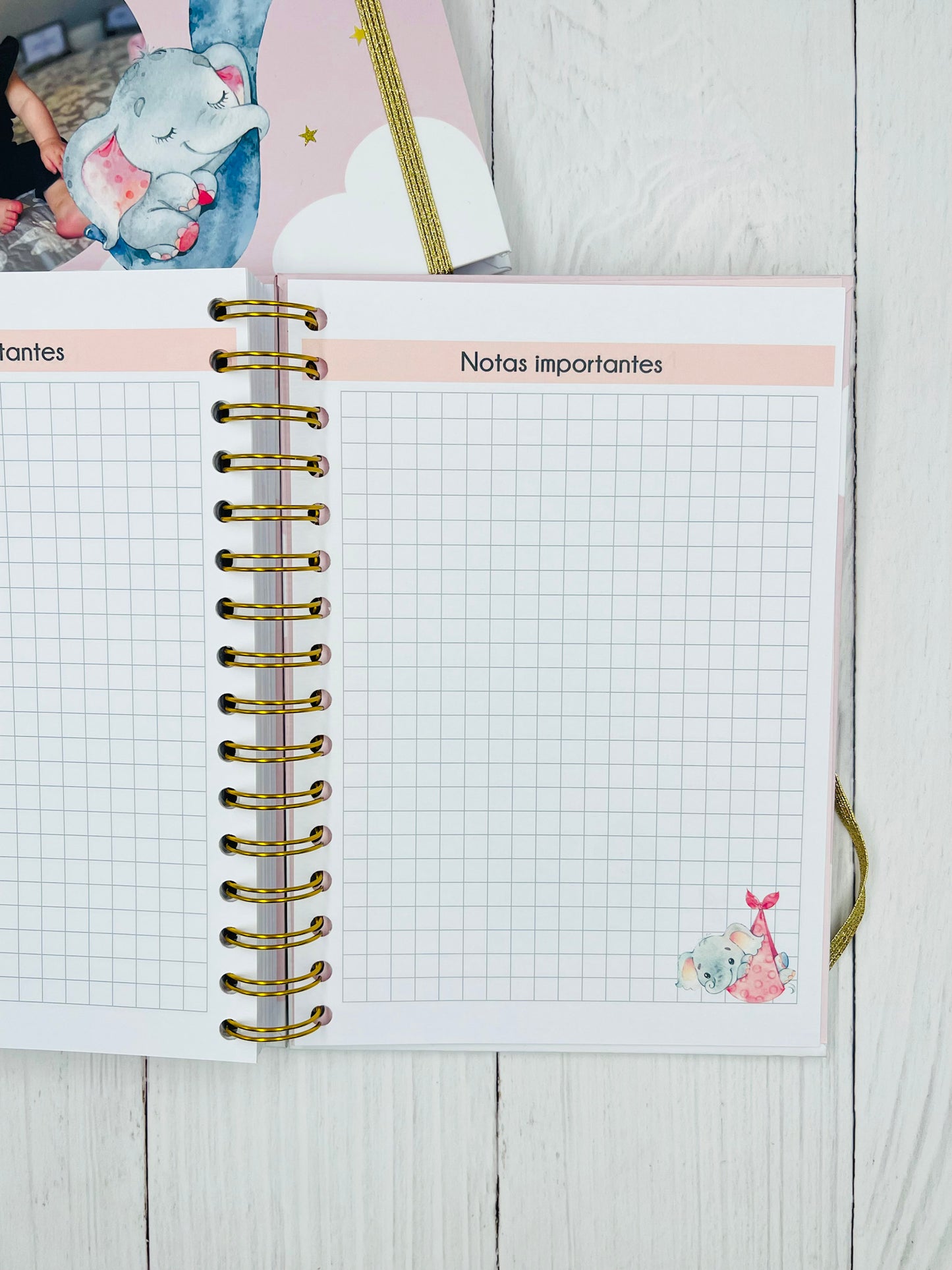 Cuaderno de control pediátrico