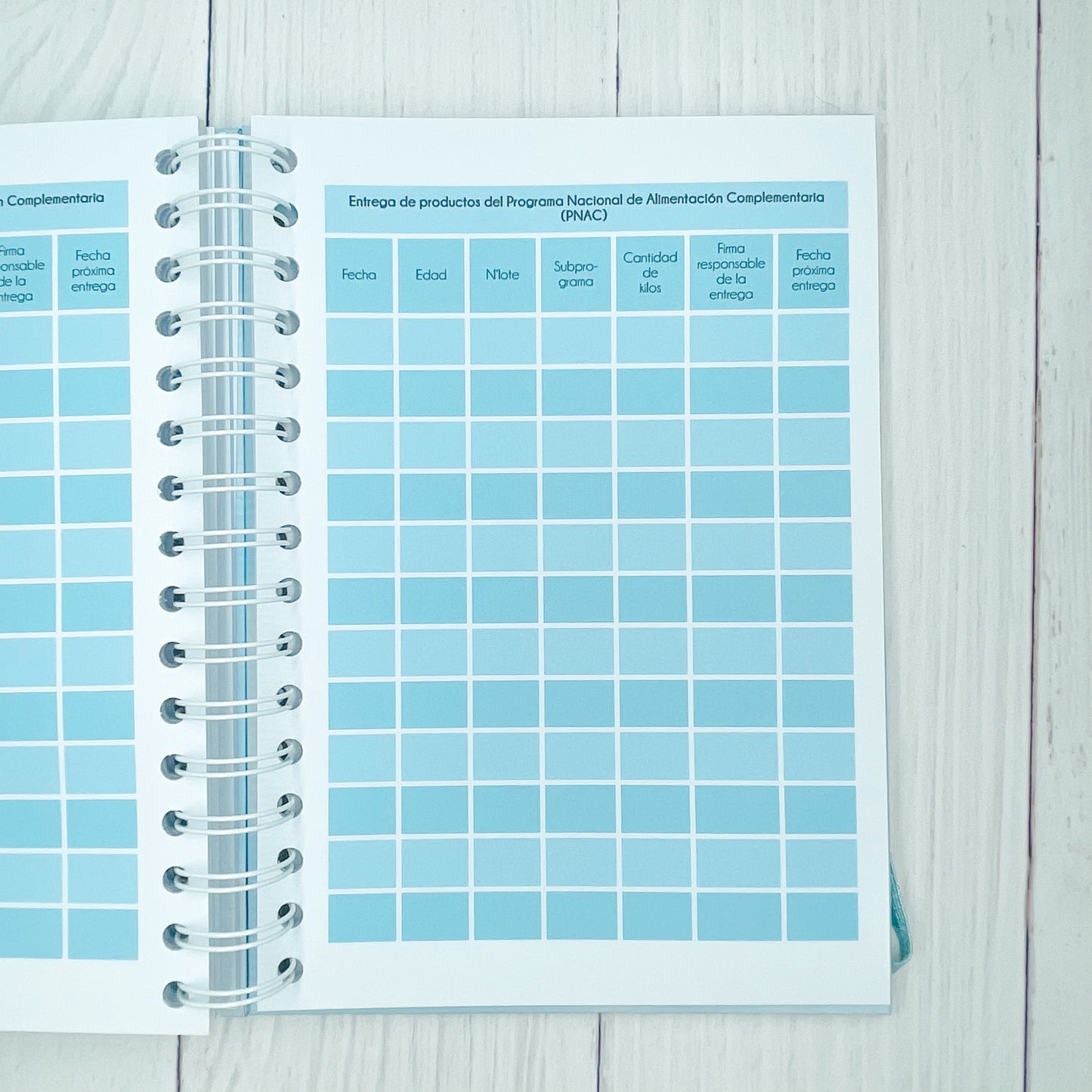 Cuaderno de control pediátrico