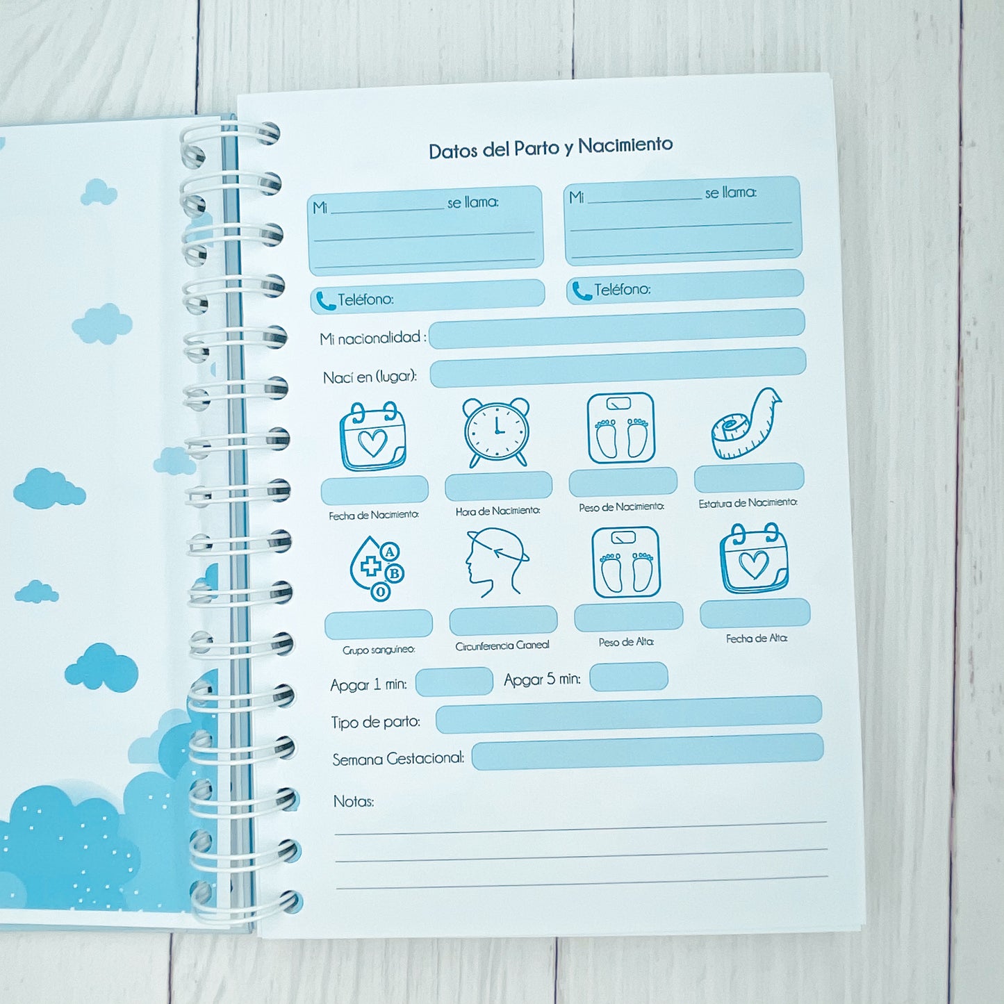 Cuaderno de control pediátrico